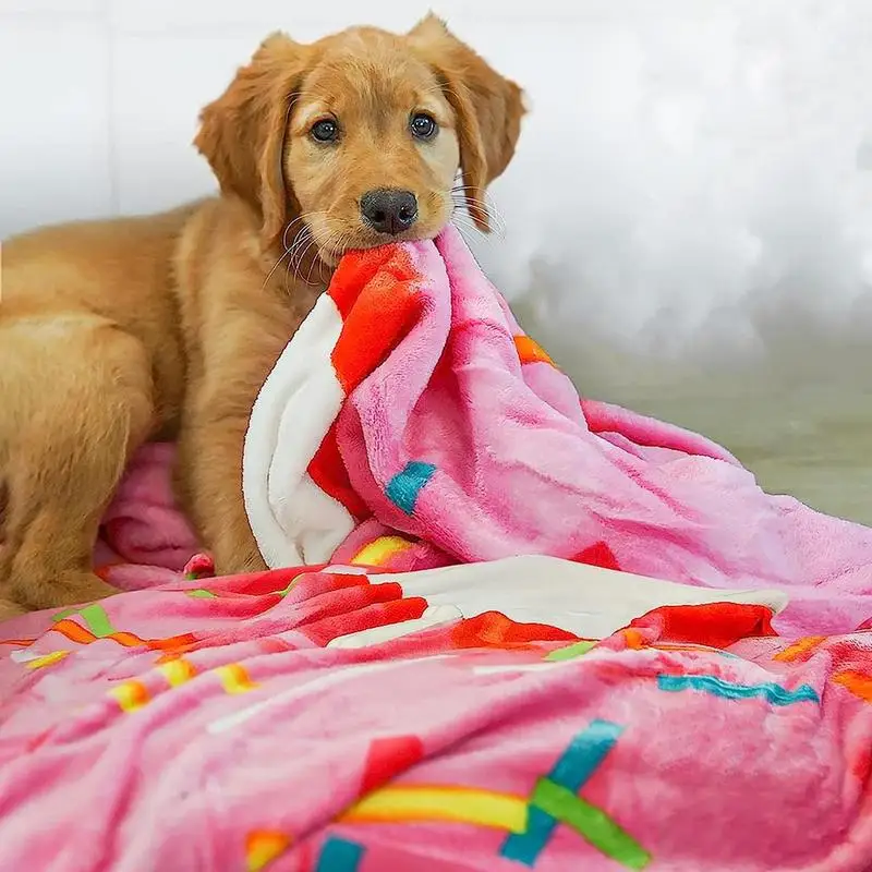 ����ִ� ������� ��� ���� ����, �� �ִ� �ö��� ������ ���, ��� ���� ����, ��Ű ���, ���� ������