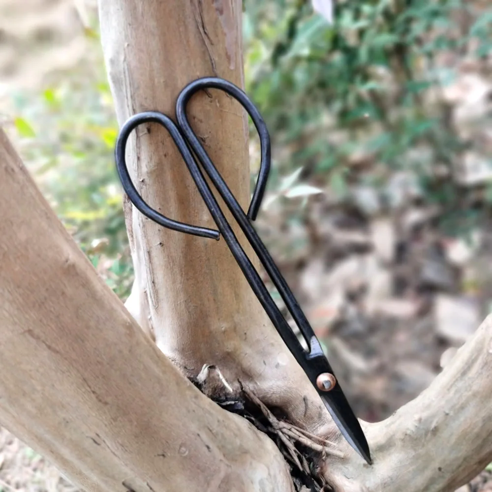 초보자 분재 도구, 긴 손잡이 가위, 원예 식물 가지 가위, 정원 가지 치기 도구, 분재 가위, 18cm, 21cm