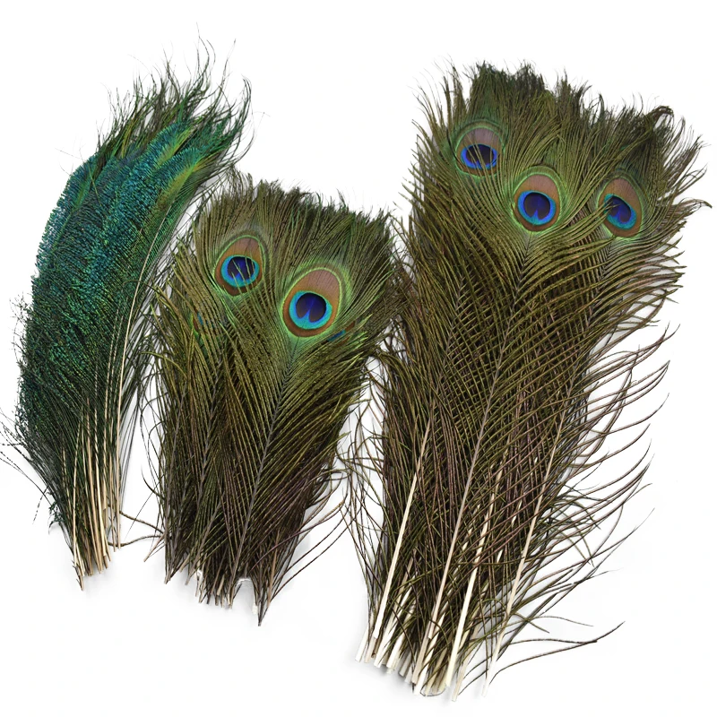10Pcs Natural Real Peacock Feathers for Decoration Craft Item Long Plumes Feather Decor Wedding Jewelry Handicrafts Accessories