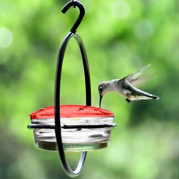 Ant-Proof Hummingbird Feeder 1