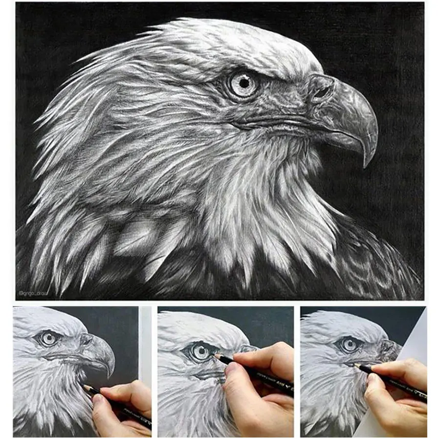 طقم أقلام رسم احترافي ، أقلام جرافيت 6H-14B ، 12 ق...