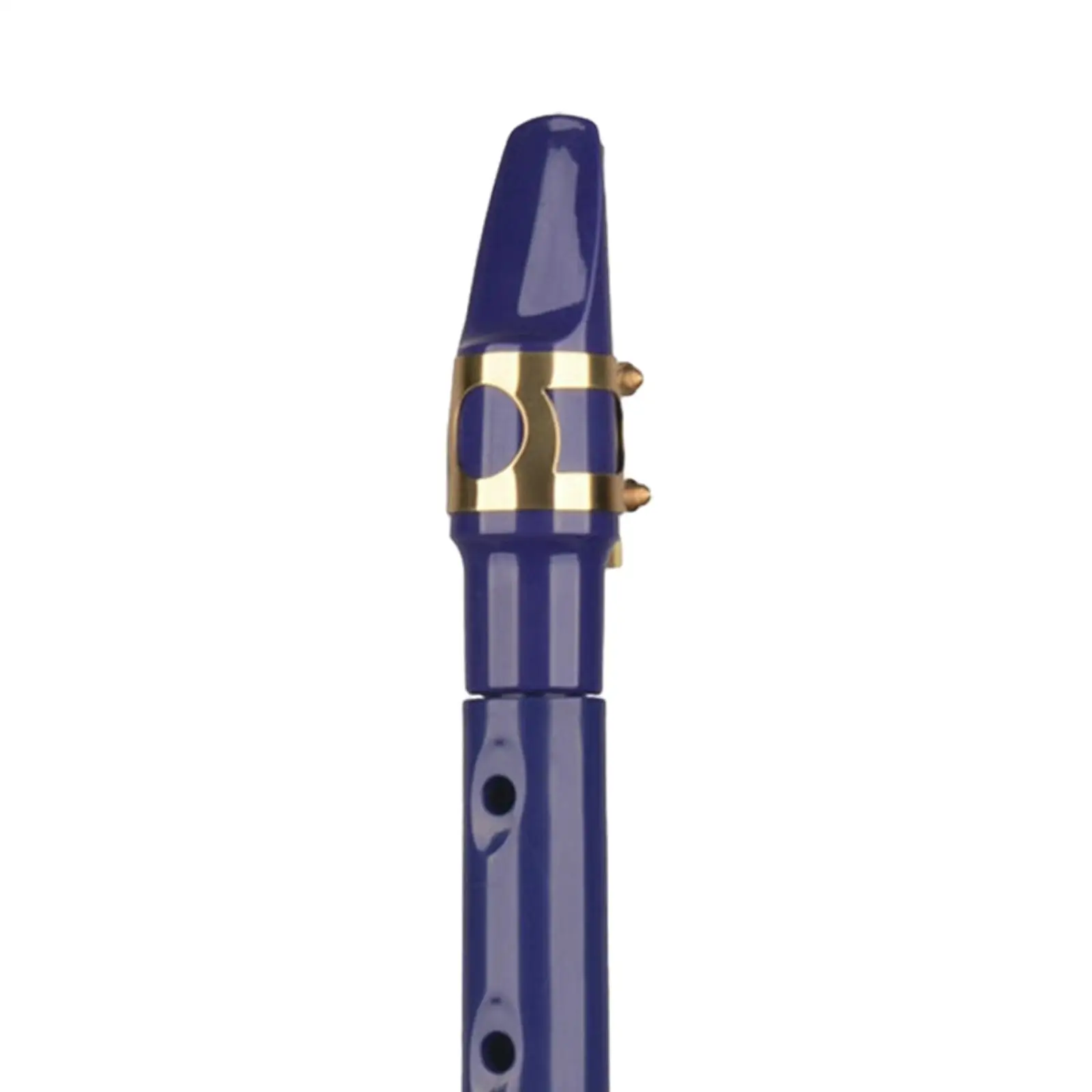 Pocket Saxophone with Mouthpiece Reeds for Professional Amateurs