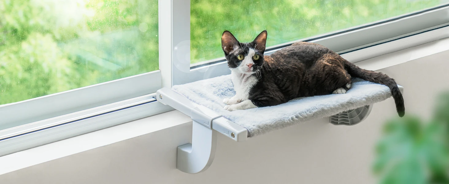 

Kitten window perch sturdy frame adjustable soft comfortable bed with wash removal pad