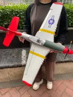Super large 75CM photorealistic fighter, vintage fighter, brushless motor, RTF to hand, 2.4G remote control stunt aircraft, larg 1