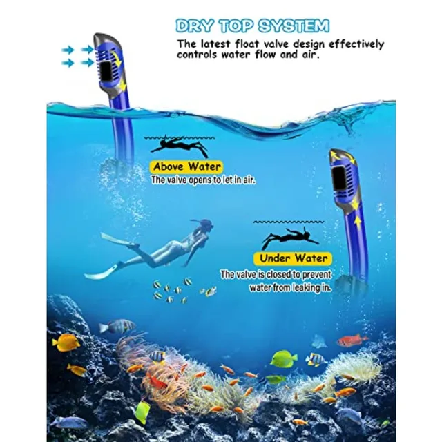 Snorkeling Gear for Adult: Black-Blue Mask, Fins, Snorkel Set Combo Lightweight, Anti-Fog, Comfort Fit Ideal for Swimming or Di