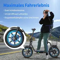 Trottinette électrique adulte TWOFISH M5 Elite-E, moteur 500W, pneus de 14 pouces, batterie 48V13AH, trottinette électrique pour trajets urbains, sièges amovibles 6