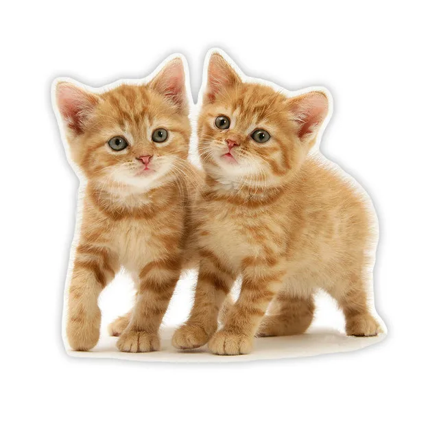 

Tabby cat orange kitten car Sticker 18Cm Model2