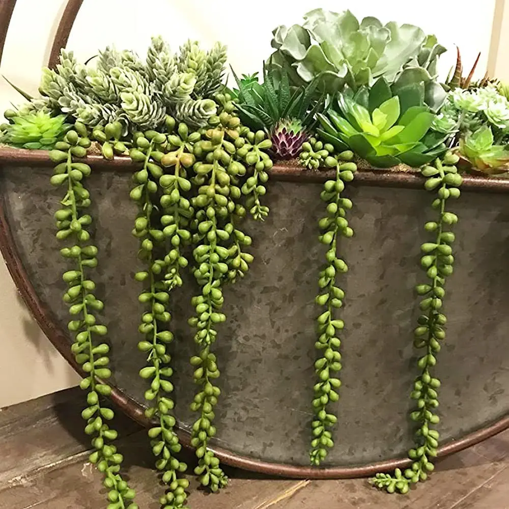 3pcs Artificial Fake String of Pearls Plant Faux Succulents