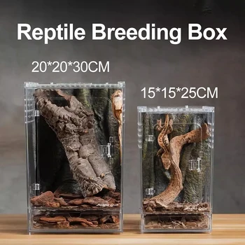 Acrylic Reptile Breeding Terrarium 1