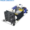 CE FCC ROHS F1 10g/h 10grams Simple ozone unit With air dryer filter adjustable Ozone oil air purifier 1