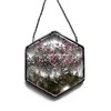 Acrylic Frame Pressed Flowers Hanging Picture Artificial Dried Plants Wall Pendant with Chain Kids Art Photo Display 6