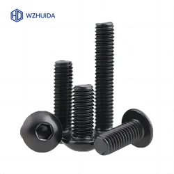 Black Hexagon Socket Button Head Cap Screw Bolt, A2 - 70 304 Stainless Steel, ISO7380 - M10 (2pcs)