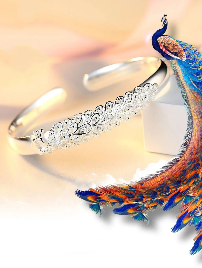 Amazon.com: Alilang Golden Tone Colorful Fun Peacock Clear Crystal  Rhinestone Charm Bangle Bracelet: Link Bracelets: Clothing, Shoes & Jewelry