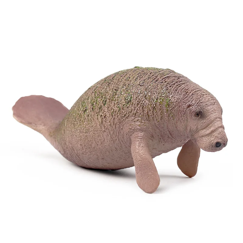 

Children's cognitive manatee toy simulation marine wildlife plastic static model solid manatee ornament