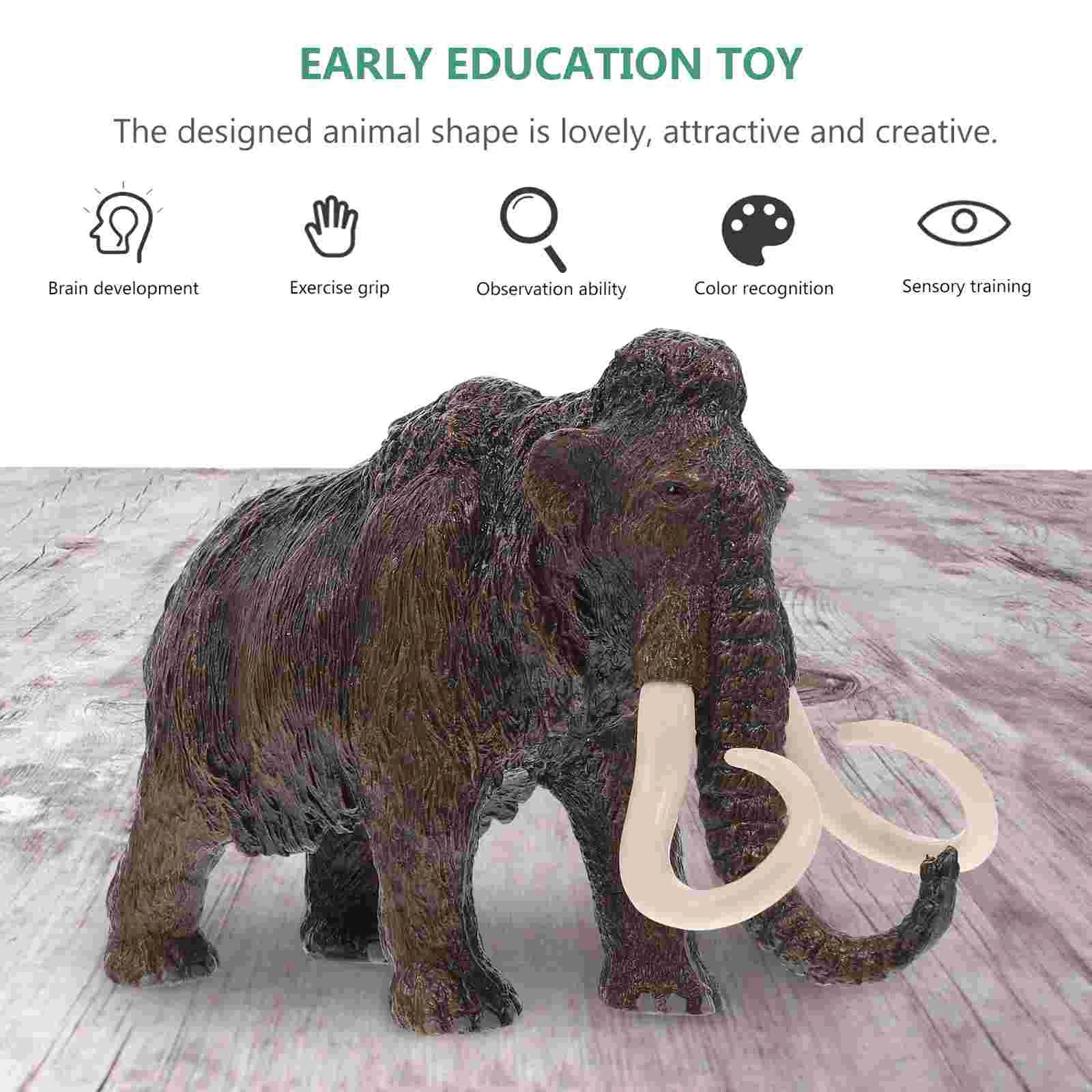 ������ �� �ùķ��̼� ��Ź ���, �ڳ��� �� �峭��, �׼� �ǱԾ�