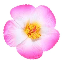 Pinces à cheveux à fleurs hawaïennes, couvre-chef, frange latérale, pinces à cheveux BB romantiques, accessoires pour cheveux, vacances adaptées aux fêtes sur la plage 4