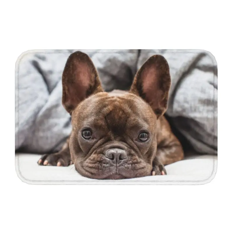 

Custom French Bulldog Doormat Mat Anti-Slip Frenchie Dog Lover Bathroom Kitchen Bedroom Rug Carpet 40*60cm