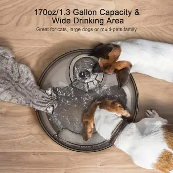 NPET DF10 Dog Water Fountain, 170oz/1.3Gallon/5L Large Automatic Pet Water Dispenser Dog Water Bowl for Cat, Dogs, Multiple Pets 2