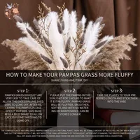 40pcs Natural Fluffy Dried Flower Pampas Grass Bouquet