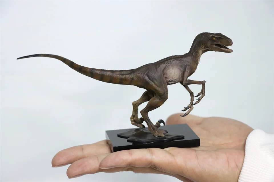 DINO DREAM ティラノサウルス & ヴェロキラプトル セット像 DINO DREAM ティラノサウルス & ヴェロキラプトル セット像