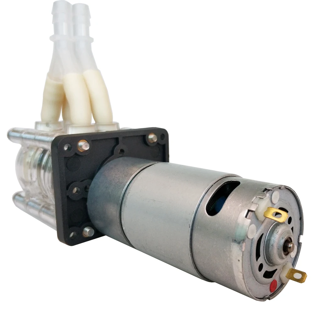 500Ml/Min Lift = 5M G928 Stroom Peristaltische Pomp Eenvoudig Te Installeren Peristaltische Pomp Doseerpomp Vacuumpomp Vlak Type 24v