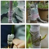 1/2pcs Grafting Tape Film 3cm wide PE/PVC film Self-adhesive Stretchable Garden Seedling Plant Vine Tomato Grafting Accessories 6