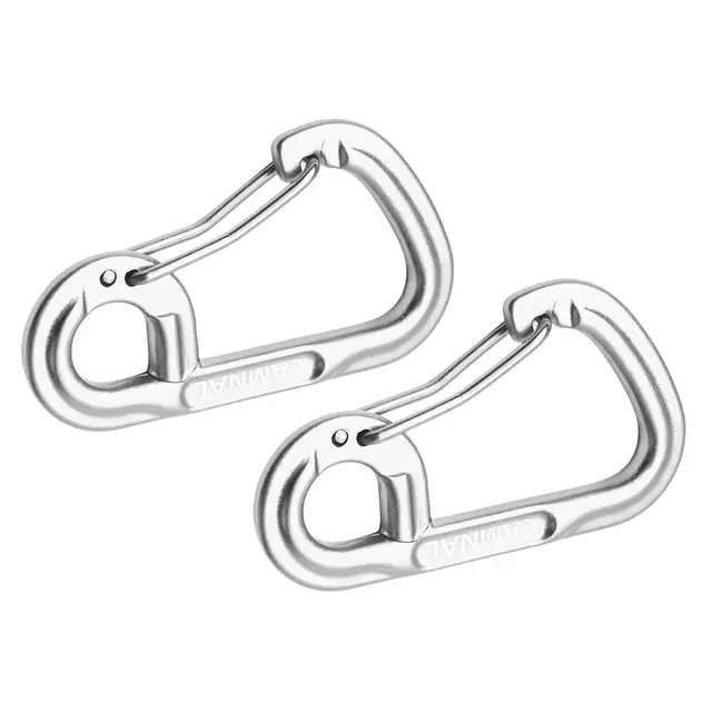Carabiner Keychain Set 4