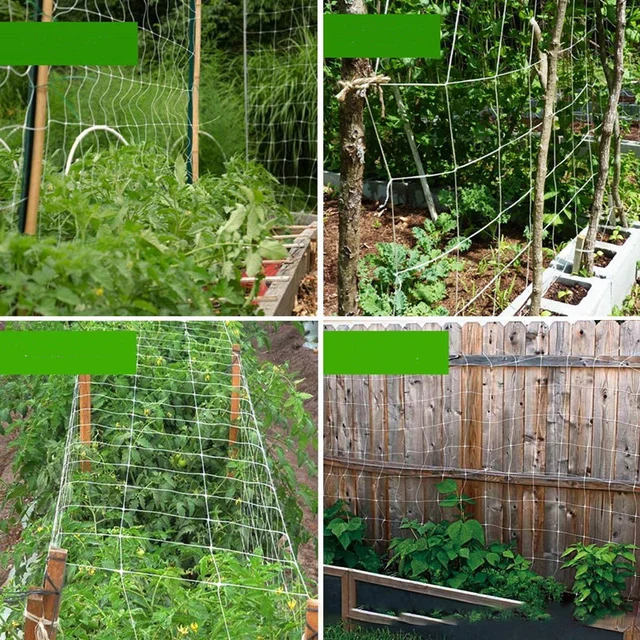 Nylon Háló Kertészeti Növényi Mászás Nettó Szőlőnövény Tartó Feltérképezés Hálózat - Image 3