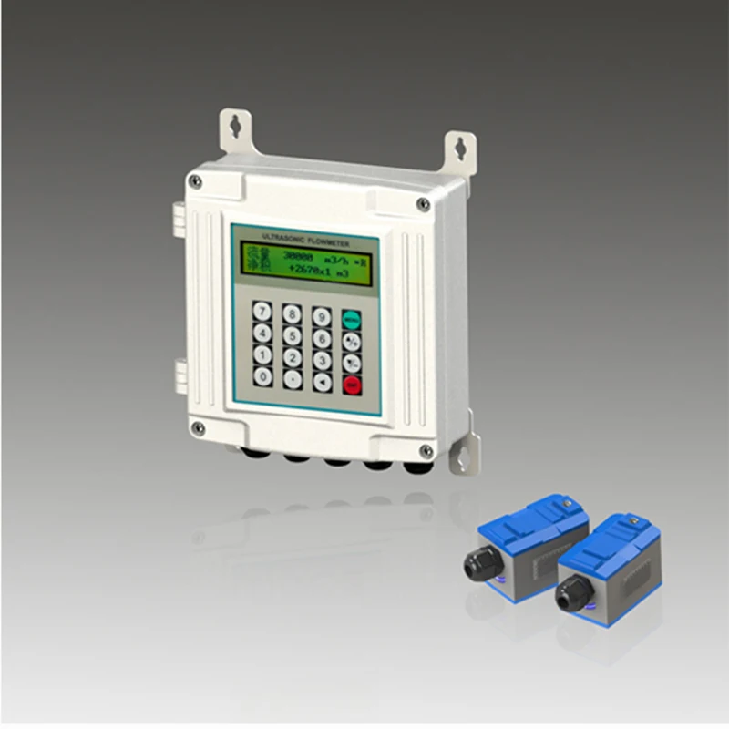 Ultrasonic Flowmeter Wall-mounted Type Flow Meter TS-2 TM-1 TL-1 Clamp on Transducer