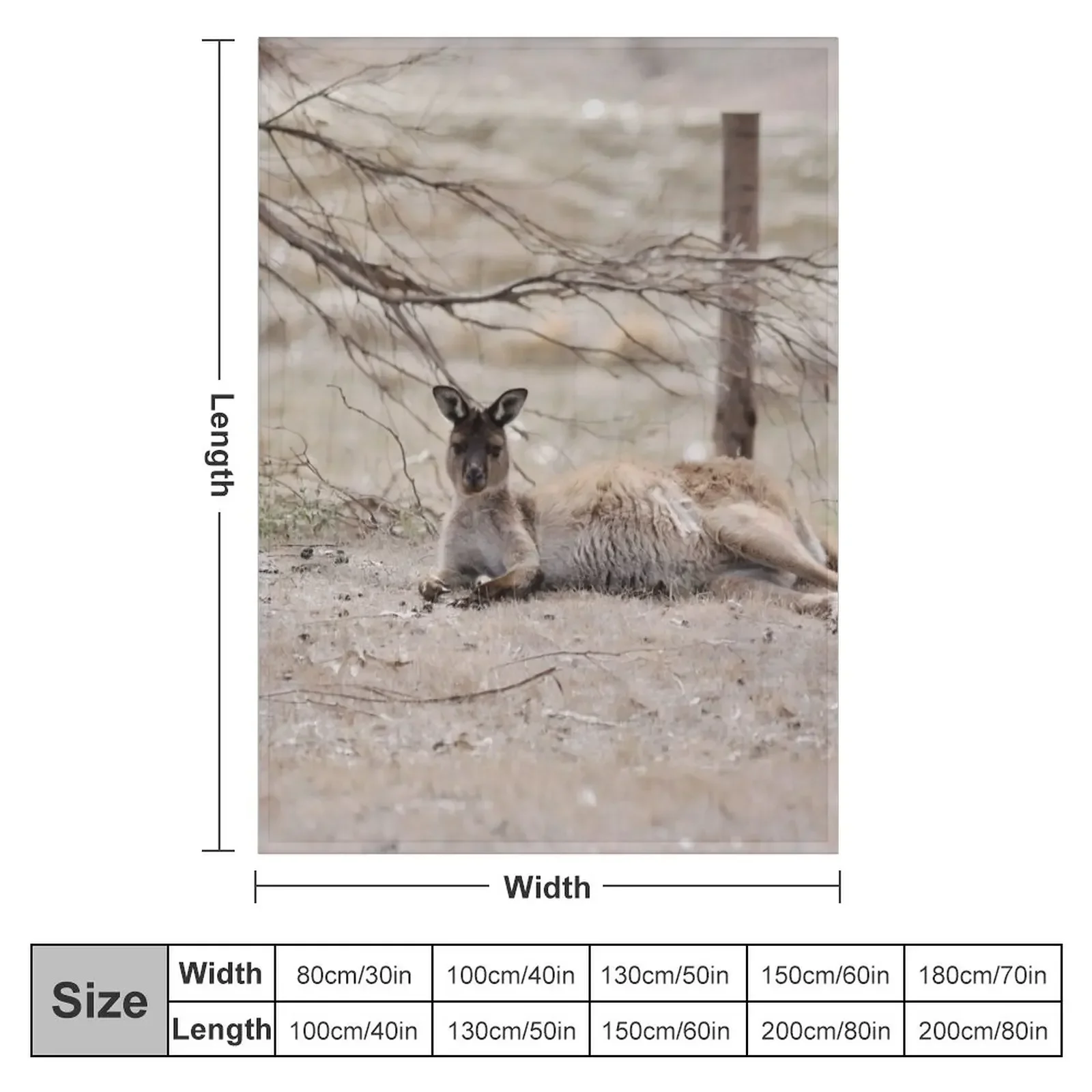 �߻� Ļ�ŷ� ������ ���, �ʴ��� ������ ��, ���� �̺� ���