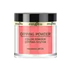 Nail Art Power 25 Colors Diy Nails Nail Polish Gel Decoration Solid Color Nail Powder Manicure Nail Glitter Powder 2