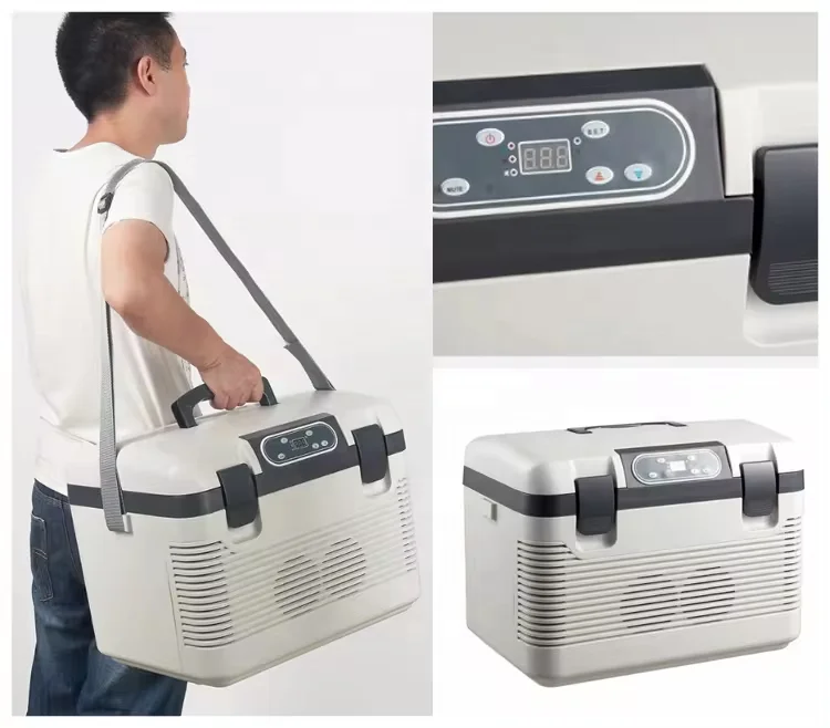 19L Car Fridge Portable Freezer Electric Cooler Warmer Outdoor Camping Cooler Box 12V 24V