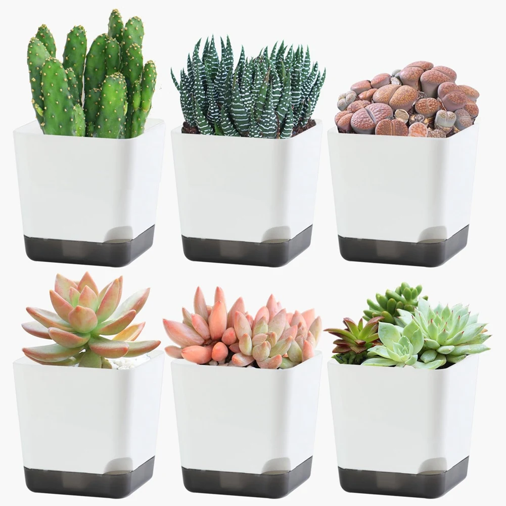 

Succulent Pots, 3.1 Inch Plastic Mini White Flower Planters With Drainage Hole For Indoor Office Home Plant Durable Easy To Use