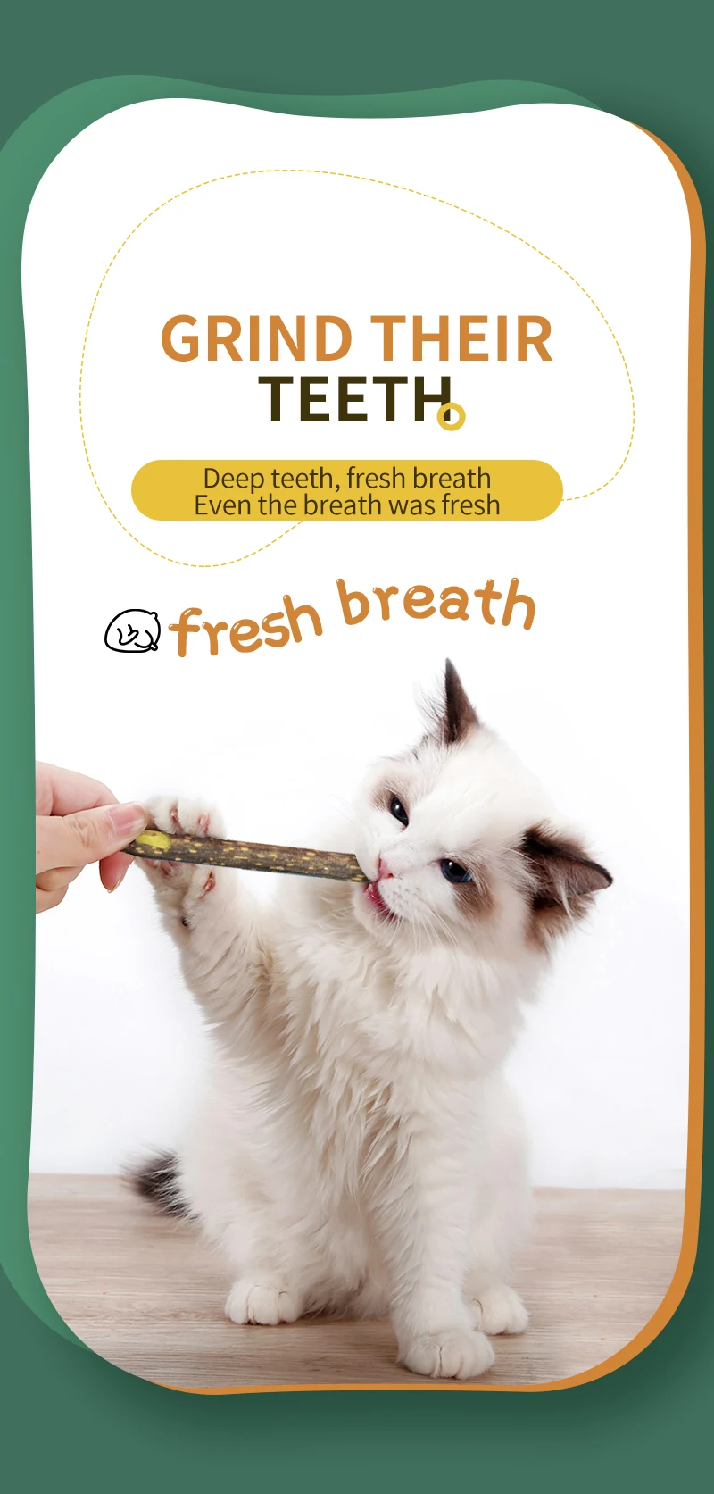 Natural Catnip Pet Cat Molar Toothpaste Stick Pet Cat Molar Toothpaste Stick Fruit Matatabi Cat Snacks Sticks Pet Cleaning Teeth