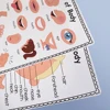 2 PCS English Body Parts Big Card  Early Education for Children Learning Materials Teaching Aids Classroom Wall Decoration 5