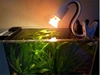 220V Turtle Basking Lamp With 255075W UVA+UVB Full Spectrum Sun Lamp Bulb For Tortoise Calcium Supplement Pet Box Lighting 5