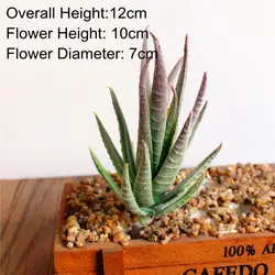Vibrant Multicolor Flocking Succulent Plants (Red BanMa LuHui)