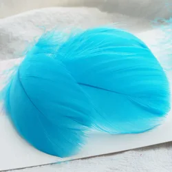 Natural Goose and Swan Feathers for Home Decor and Crafts - 100 Pieces (Lake blue)