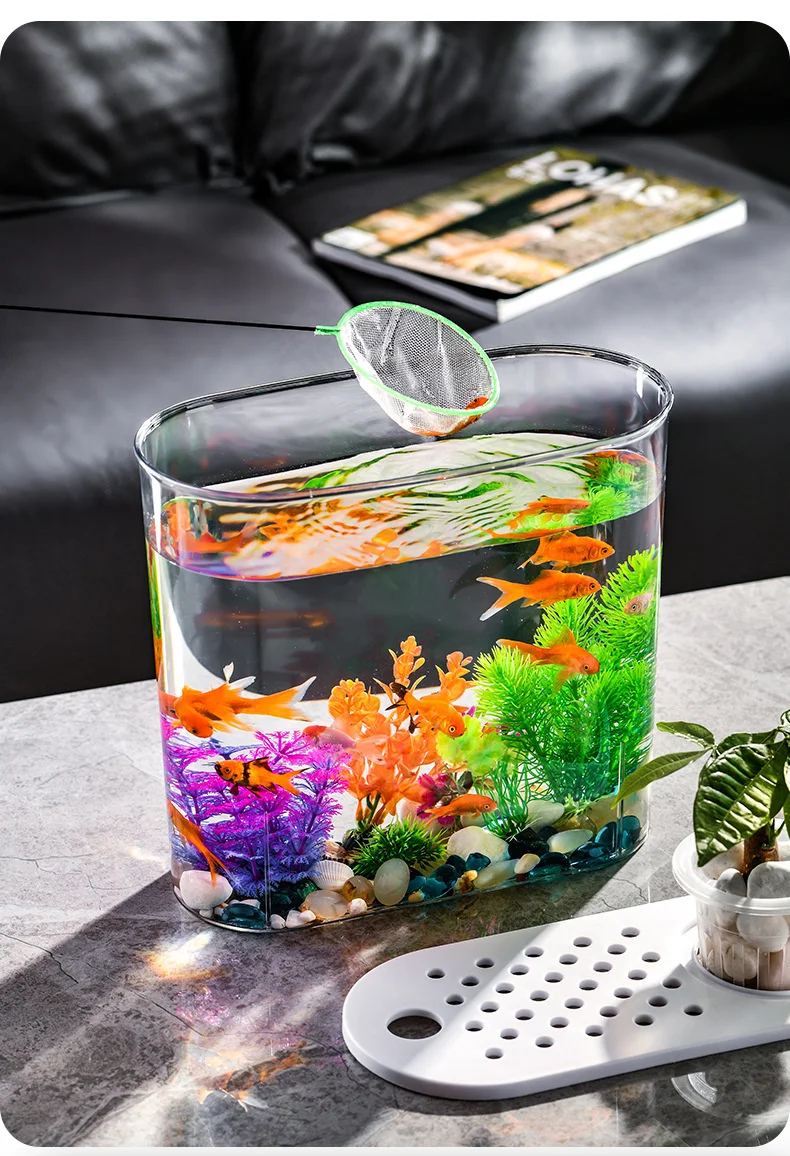 Title 19, Creative Desktop Goldfish Tank With Green Plant...
