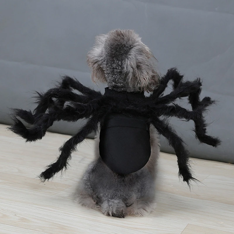 NONOR Halloween Dog Cat Clothes Pet Cosplay Funny Spider Costume Halloween Party Costumes for Small Medium Dog Cat Costumes