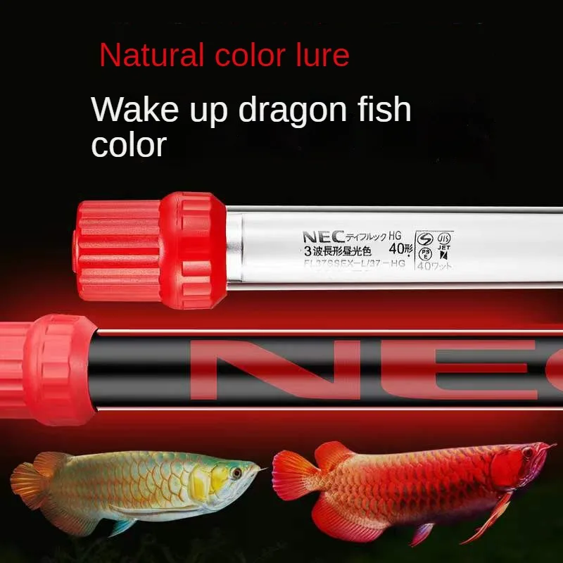 キ*ン様 Arowana Magical Light Series S7aec2c16bc2e4771abfda404b27ba