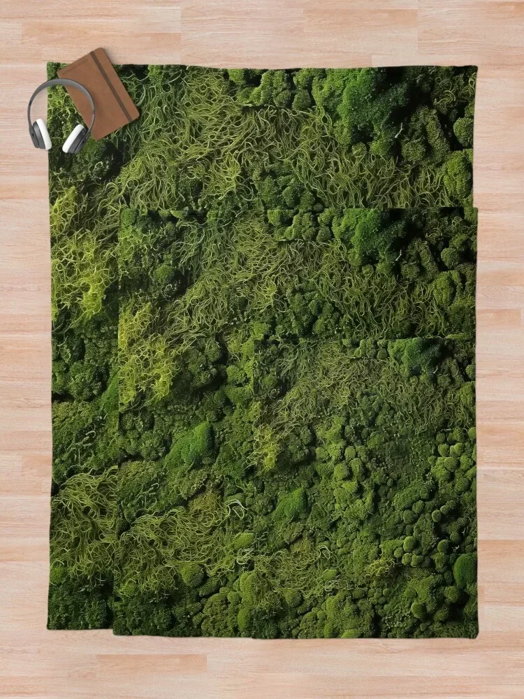 �̳� ����: �ڿ������� �ż��� ������ ���, ��� ���, �� ���� �ε巯�� ��