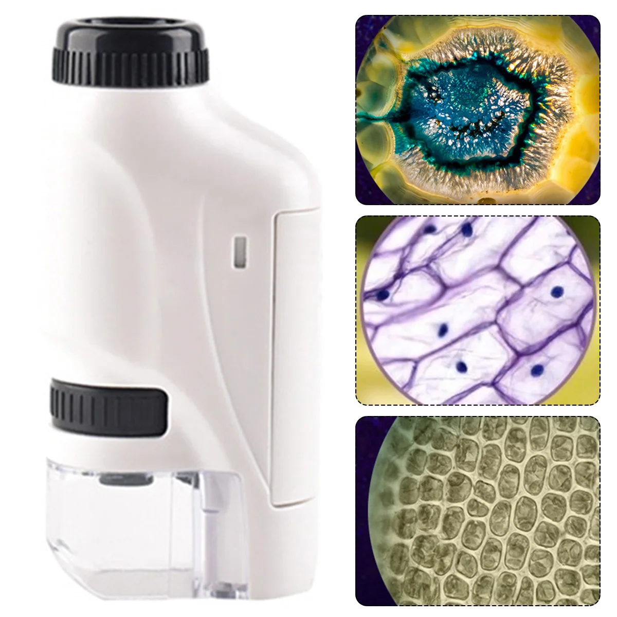 Handheld Microscope Mini Microscope Pocket Microscope 60-120x Battery Powered Handheld with LED Light Portable