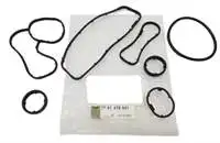 7701478541 Kit Guarnizioni Radiatore Olio M9T Master Iii