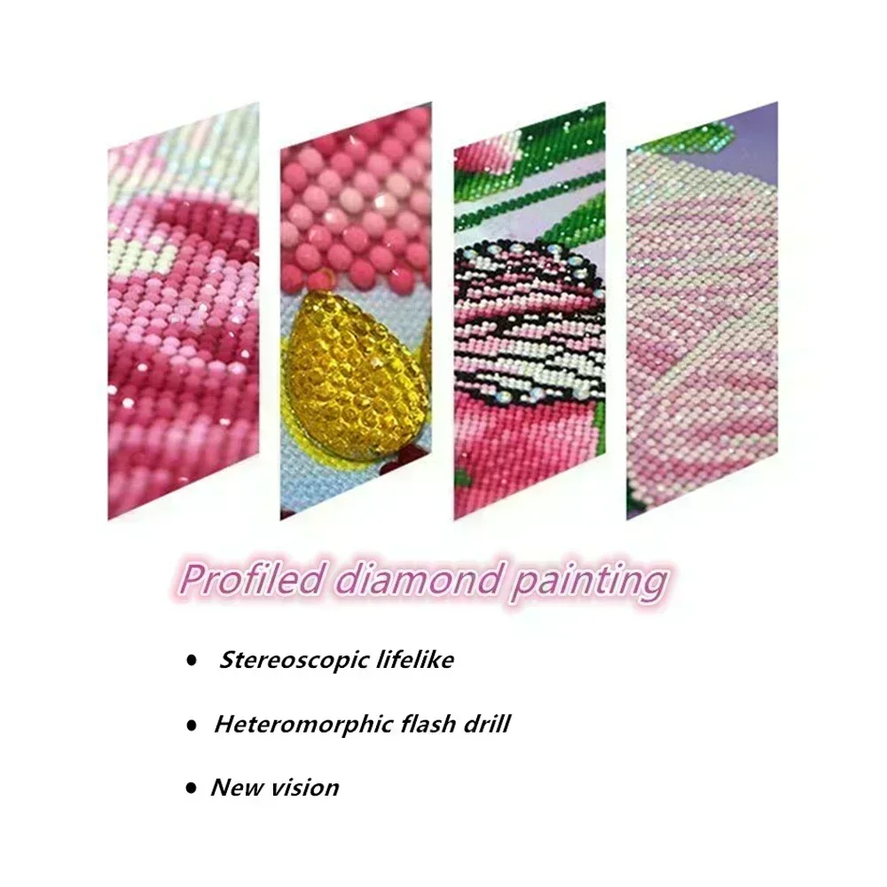 5D DIY  ̾Ƹ , ũν ö   ǳ  Ʈ, Ǯ  帱, ڼ Ȩ 
