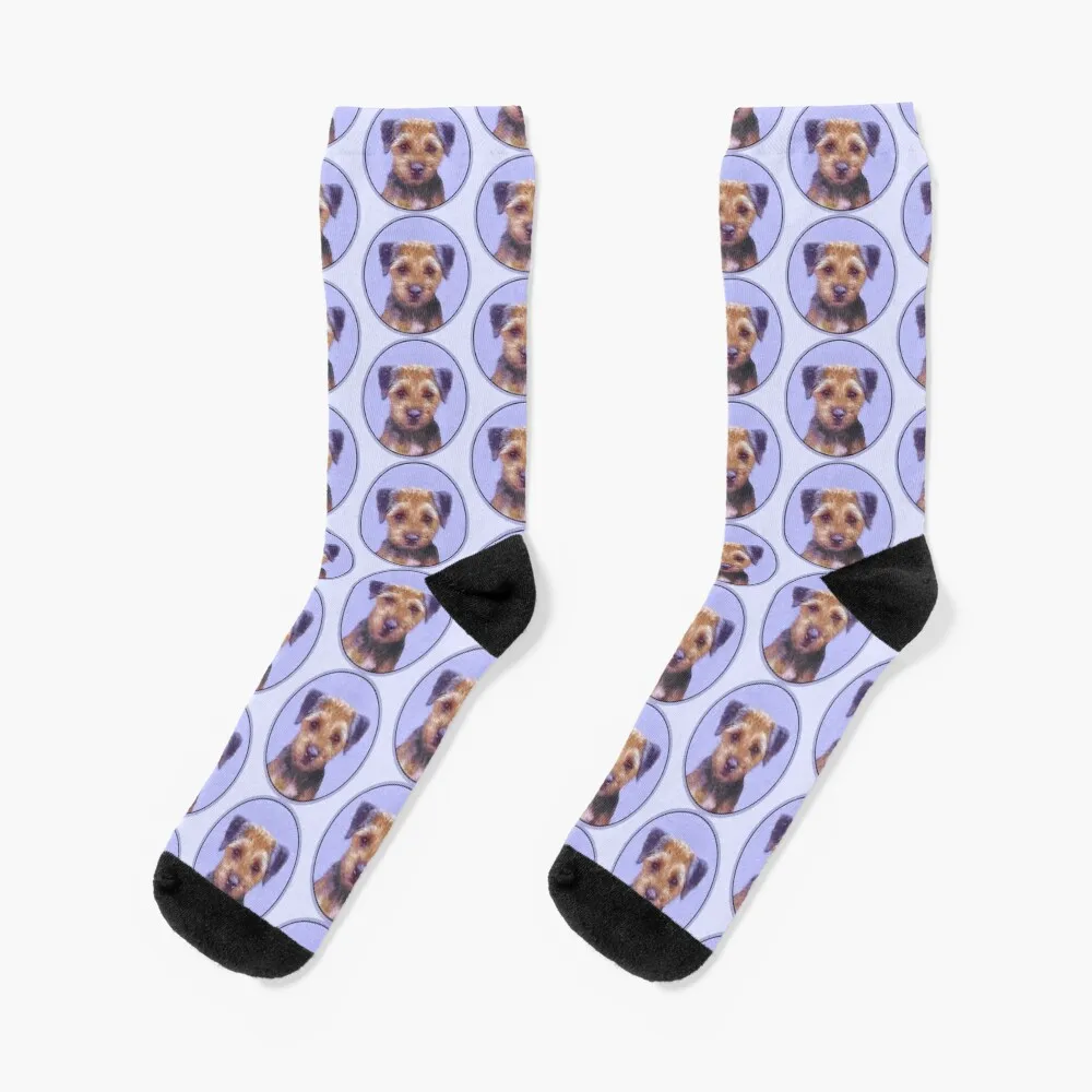 

Border Terrier Socks essential set Socks Woman Men's