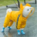 Yellow bear