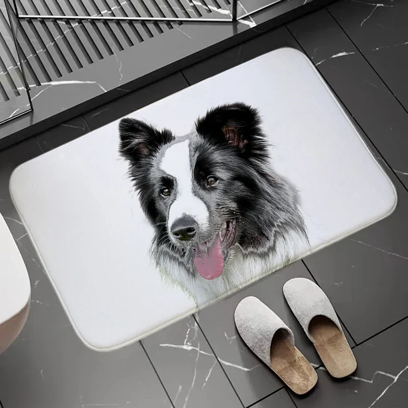 

Нескользящий и моющийся кухонный коврик Border Collie, напольный Придверный коврик для ванной, коврик у входной двери украшения для балкона, коврик для прихожей и ванной