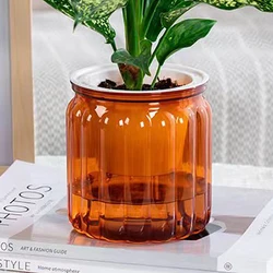 Elegant Self - Watering Transparent Flower Vase (Orange)