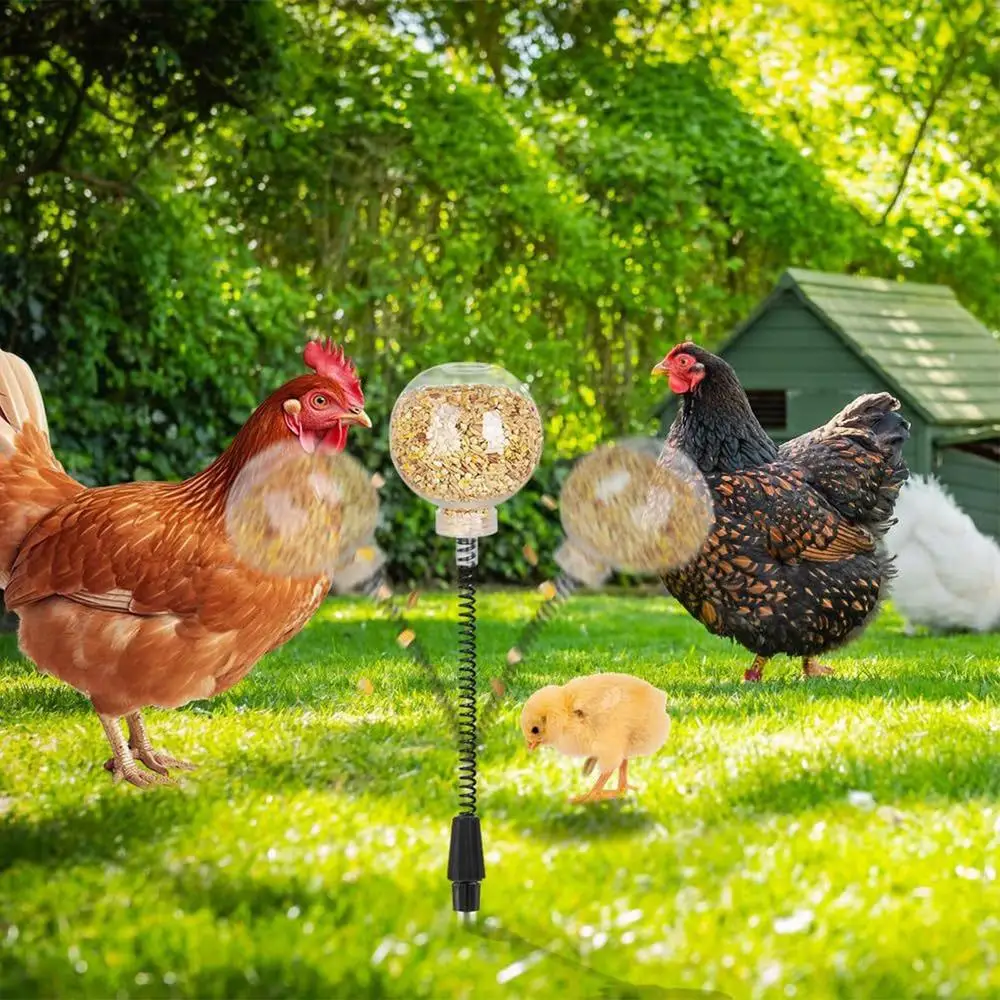 2pcs Chicken Swing Feeder Chicken Coop Pecking Toy Funny Hens Feeding Supplies Poultry Treat Dispenser for Boredom Busting